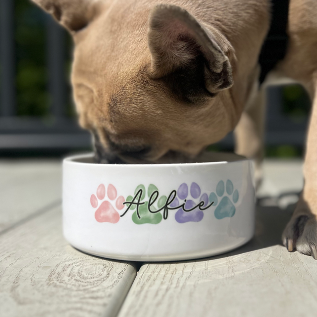 New in: Perfect Pups Just Got Prettier! 🐶✨