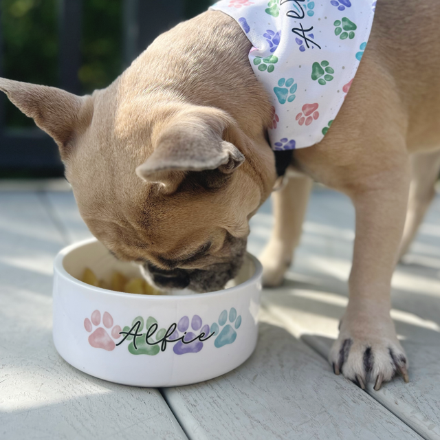 New In – Our Perfect Pups Collection Just Got Cuter!