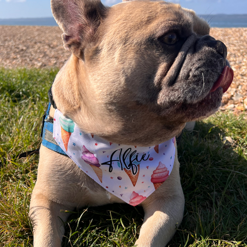 Ice Cream - The Perfect Pups Collection **Limited Edition**
