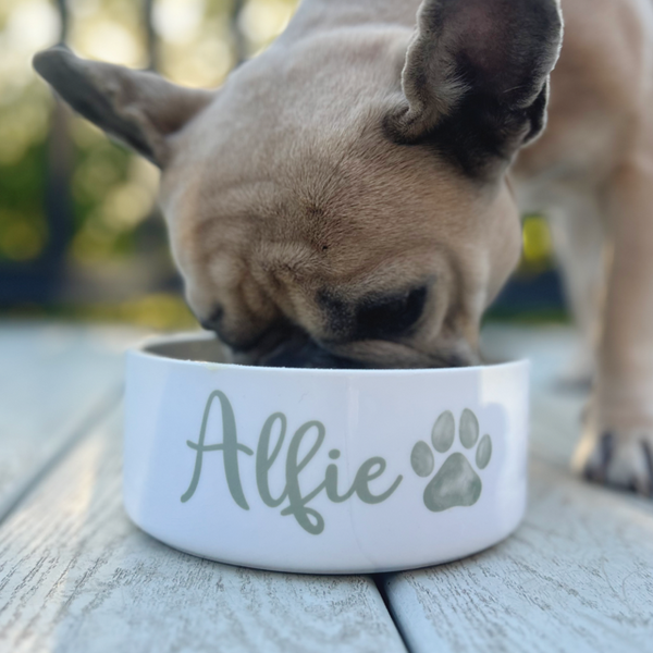 personalised dog bowl with name and paw print