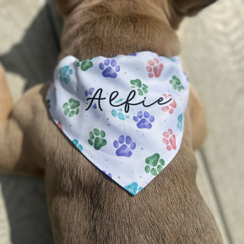 Pet Bandanas