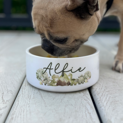 Dino - Perfect Pups Collection
