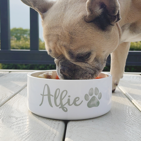 Perfect Pups New Release