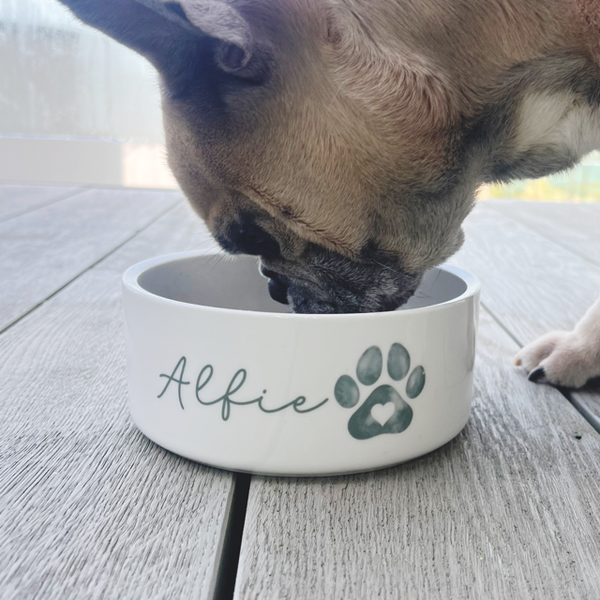 Dog eating from a white bowl with 'Alfie' and a paw print design on a wooden surface.