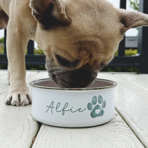 Dog Travel Bowl